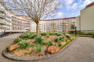 Photo 14- click for photo gallery